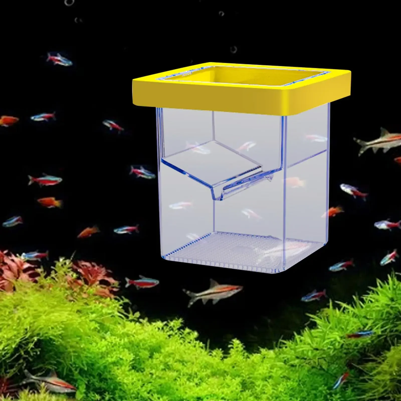 

Aquarium Breeder Box Fish Isolation Box Floating Aquarium Breeder Feeder Hatchery Hatching Box for Guppy Fish Shrimp Betta