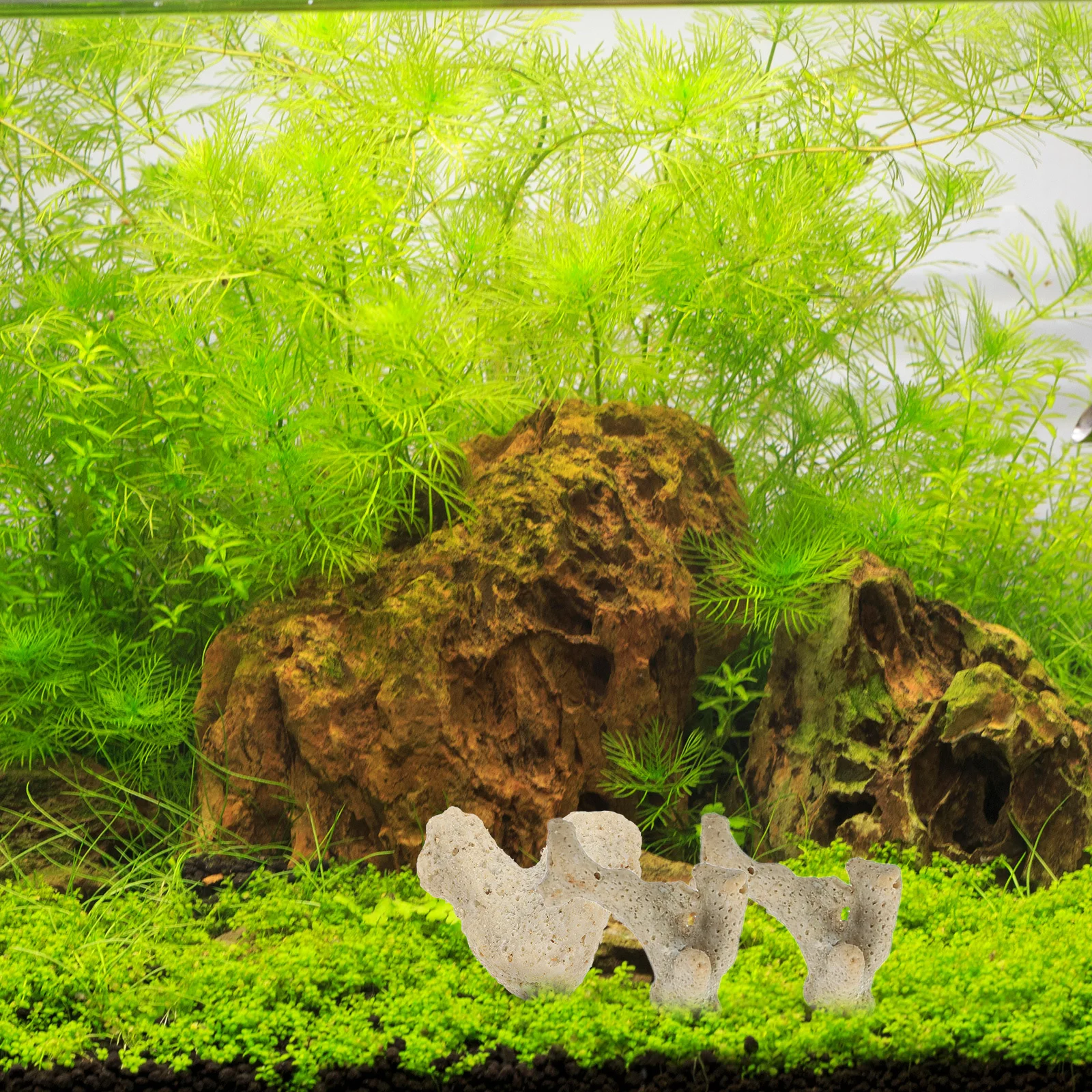 

1 Bag Coral Bone Base Sand Fish Tank Filtration Material Random Size Shape Aquarium Filter Media for Fresh and Saltwater