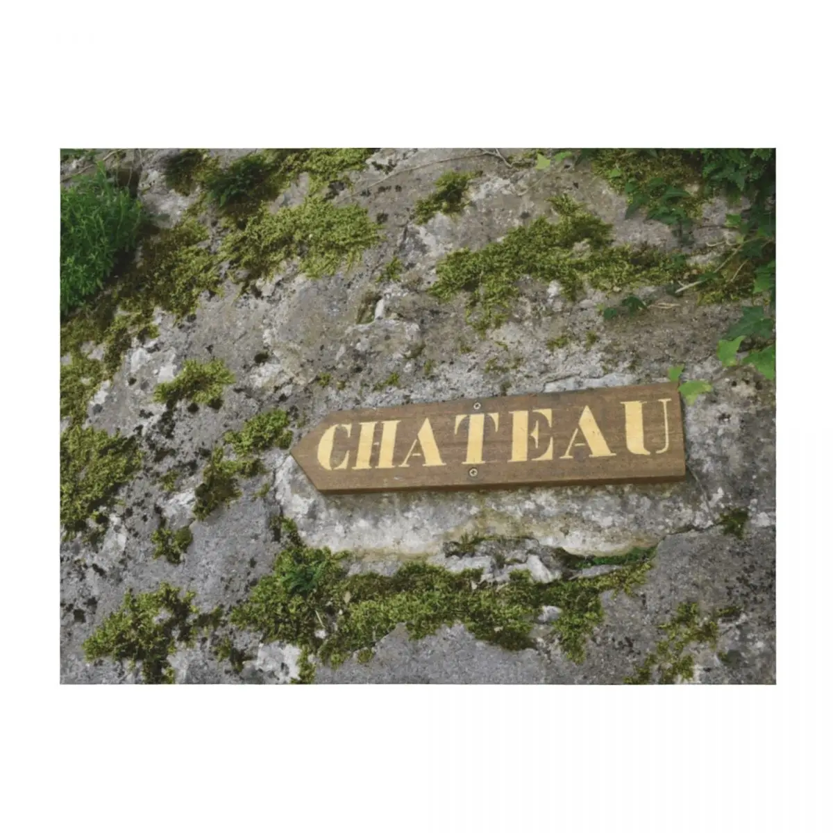 

Chateau Throw Blanket Flannel Fabric Designers Beautifuls Luxury Thicken Blankets