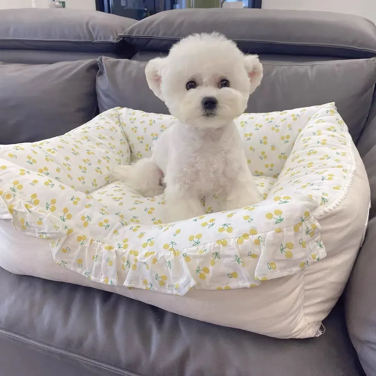 

A for Small Dogs and Cats - Dog Deluxe Sofa, Cat Nest, Kitty Litter, Cat Litter, Sofa Bed, Couch Cushion Items Supplies