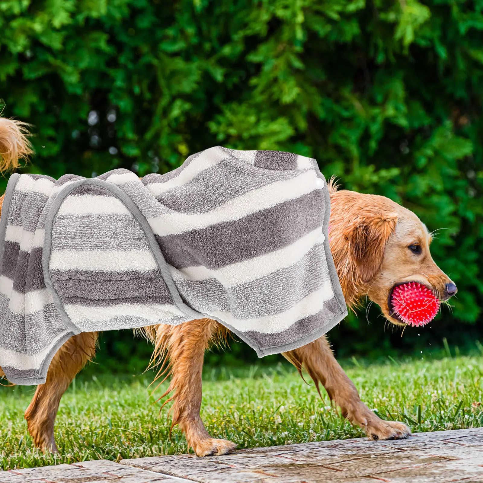 

Pet Bathrobe for Dogs Coral Fleece S Size Gray White Striped Quick Drying Absorbent Puppy Clothes Comfortable after Bathing