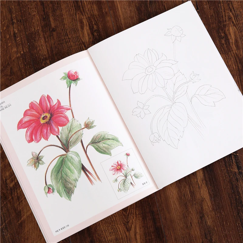 72 Pages 27*22cm Korean Four Seasons Flower Coloring Book Adult Decompression Graffiti Painting Line Art Draft