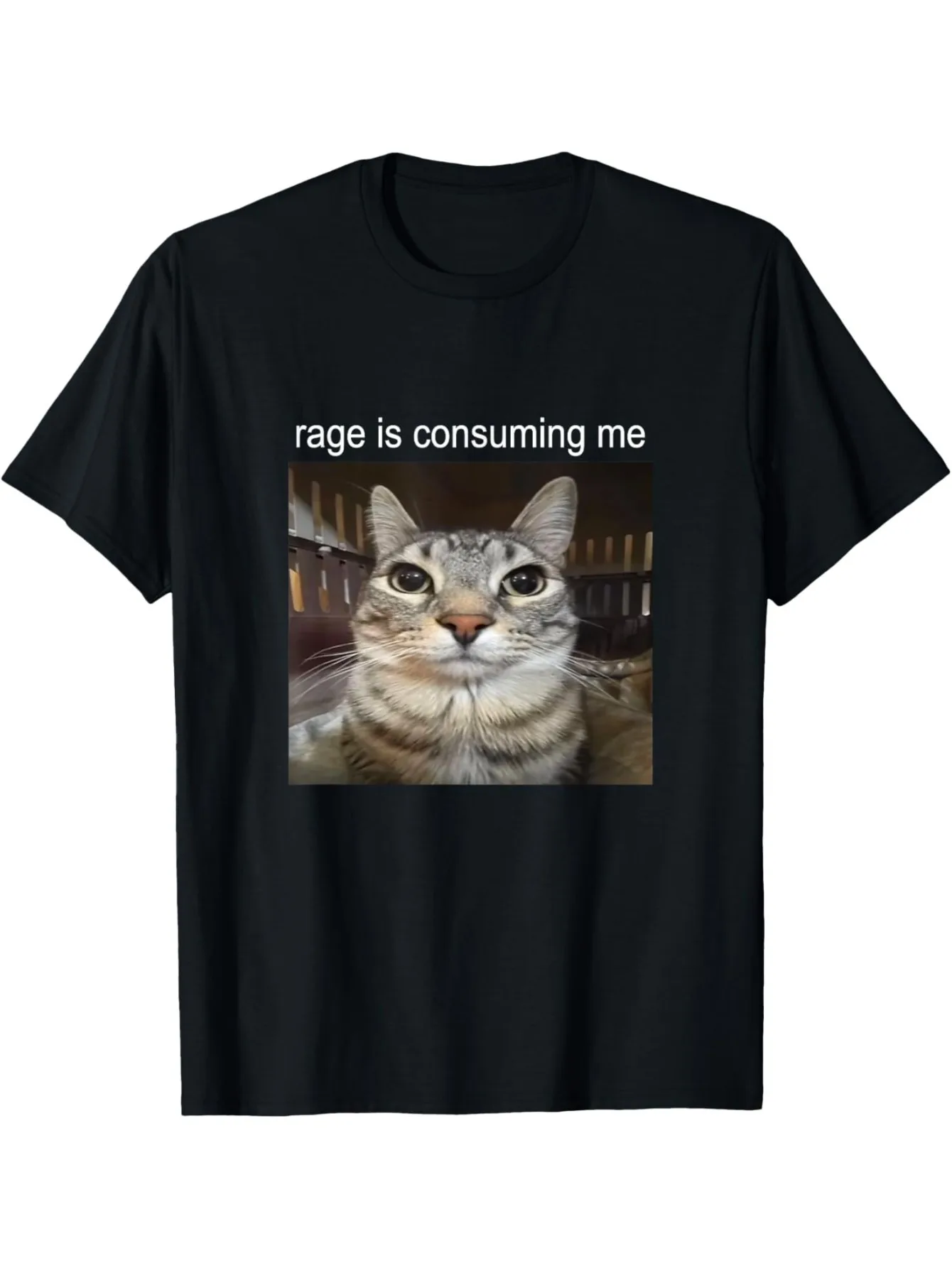 Rage Is Consuming Me Silly Staring Cat Meme T-Shirt Summer Short Sleeved Harajuku Streetwear Tops Tees Aesthetic Clothes
