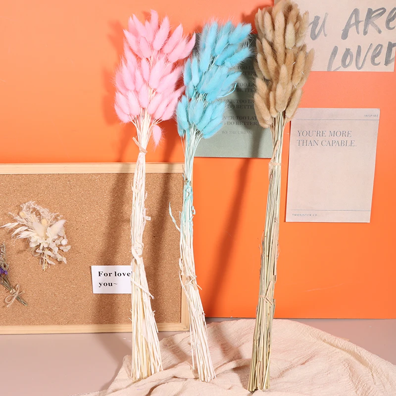 باقة زهور مجففة لترتيب الأزهار بنفسك ، السهوب المنفوشة ، عشب ذيل أرنب طبيعي ، حفل زفاف ، ديكور عيد الميلاد ، 50 * #5