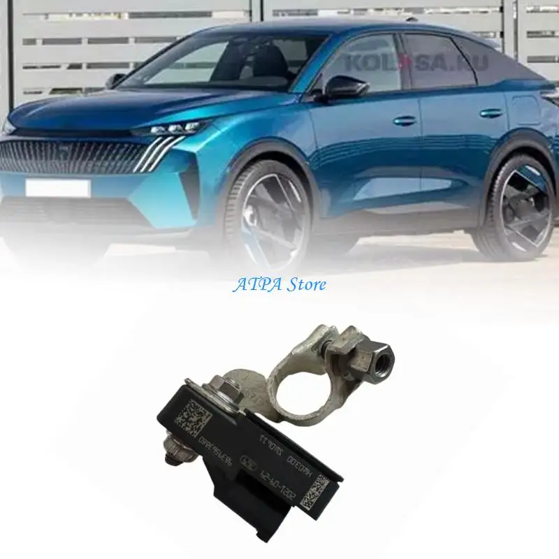 

U13C High Conductivity Copper Material AutomotiveCable Battery Anti Corrosion PVC For 408 3008 9839563880 9838135480