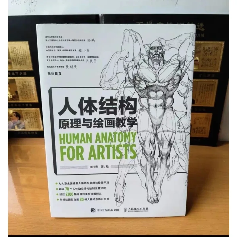 Drawing Tutorial Book Human Anatomy Principles Drawing Instruction Chinese Master Xiao Weichun Artistic Human Bridgman Anime