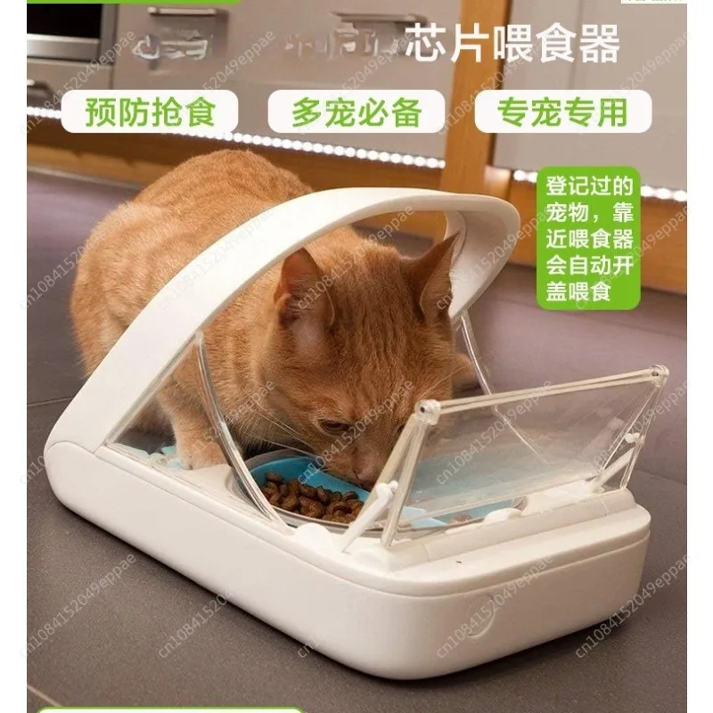 

Surefeed Chip Recognition Sensing Multi Cat Automatic Feeder Pet Cat Bowl Puppy Wet Food Preservation and Insect Prevention