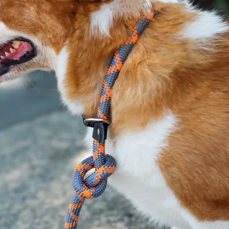 Dog Collar P Chain Adjustable Dogs Collars Reflective Pet Chain Nylon P Rope Harness Dog Walking Puppy Training Pet Supplies