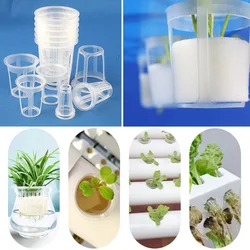 100Pcs/Lot Hydroponic Basket Garden Vegetable Soilless Grow Net Pot Greenhouse Plant Clone Grow Pots Net Nursery Cup