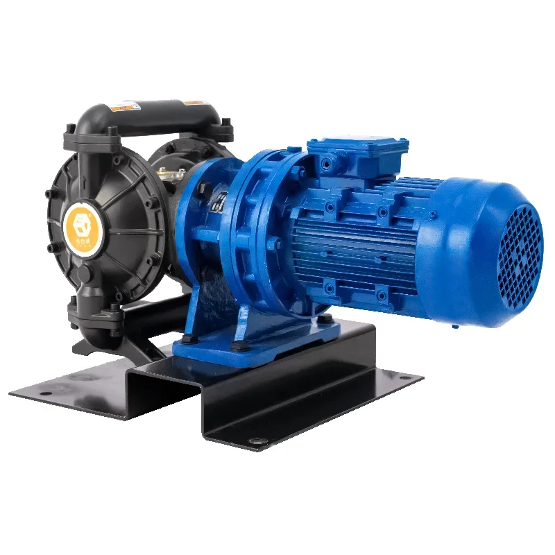 BFDS-25G 1-дюймовый электрический мембранный насос Производитель Стенточные водные ежедневные мембранные насосы