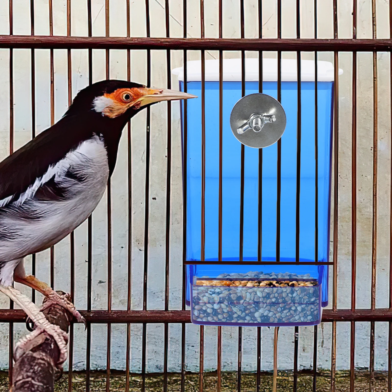 

Automatic Bird Feeder Clear Acrylic Small Bird Cage Feeders For Parakeets Finches Budgies Parrot Food Container Hanging Feeding