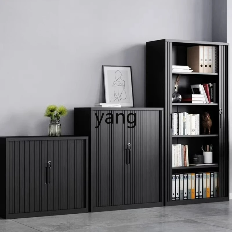 LTT Rolling Shutter Door File Cabinet Office Sliding Door Storage File Cabinet Sliding Door Steel Wardrobe
