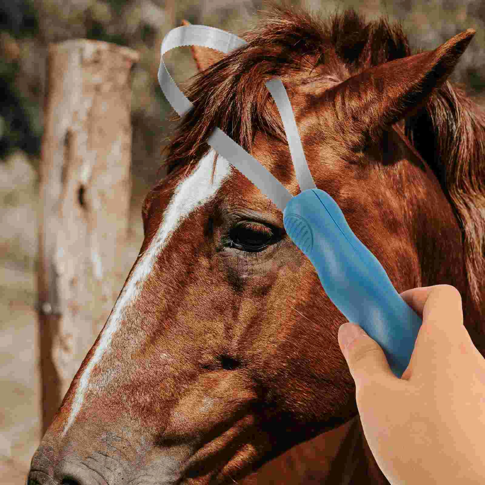 Paardenborstel Hond Verlies Verzorging Koe Vee Kit Blade Vee Kam Dierenhaar Verwijderen