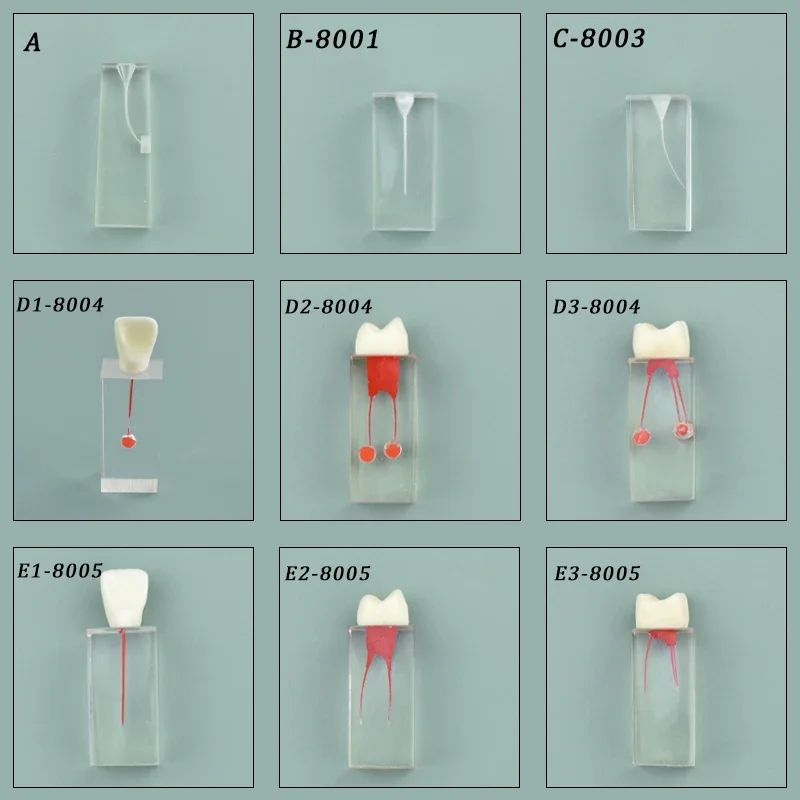 1Pcs Resin Dental Root Canal Block Teaching Practice Model Endodontics Training Blocks Dentistry Education Demo Dental Equipment