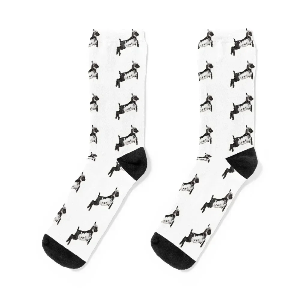 

Bouncing Baby Goat III Socks set golf football short Socks For Man Women's