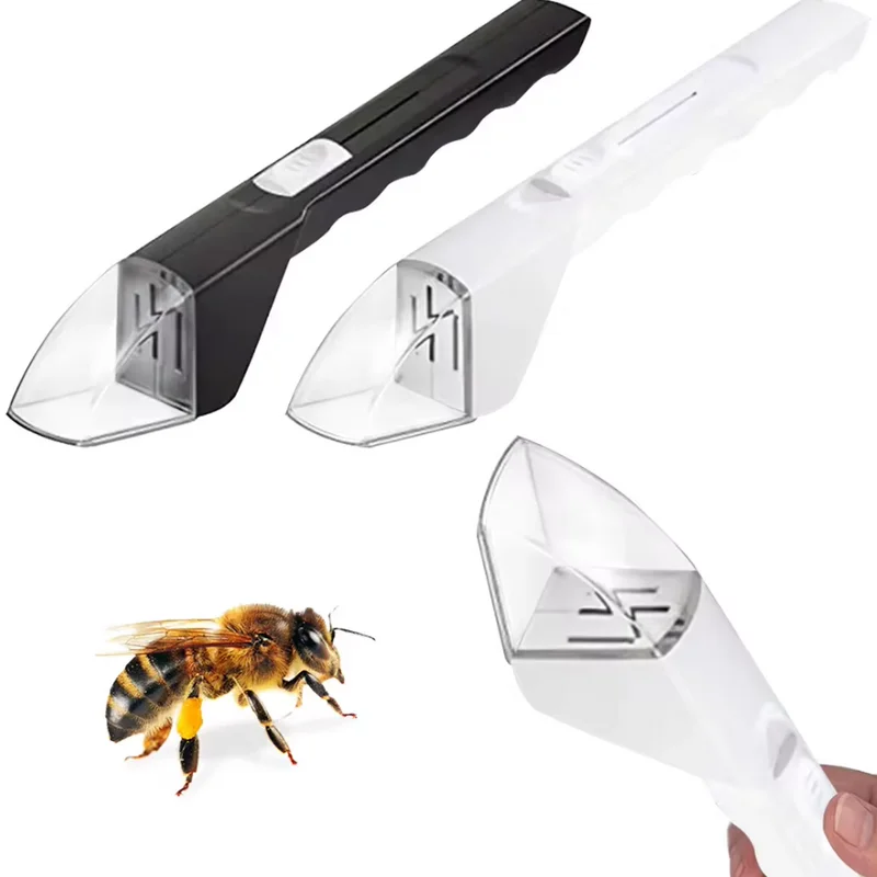 Insect Bug Catcher Magnifying Insect Bug Box Viewing Insects Explore Contactless Quick Release Insects Catching Tool for Kids