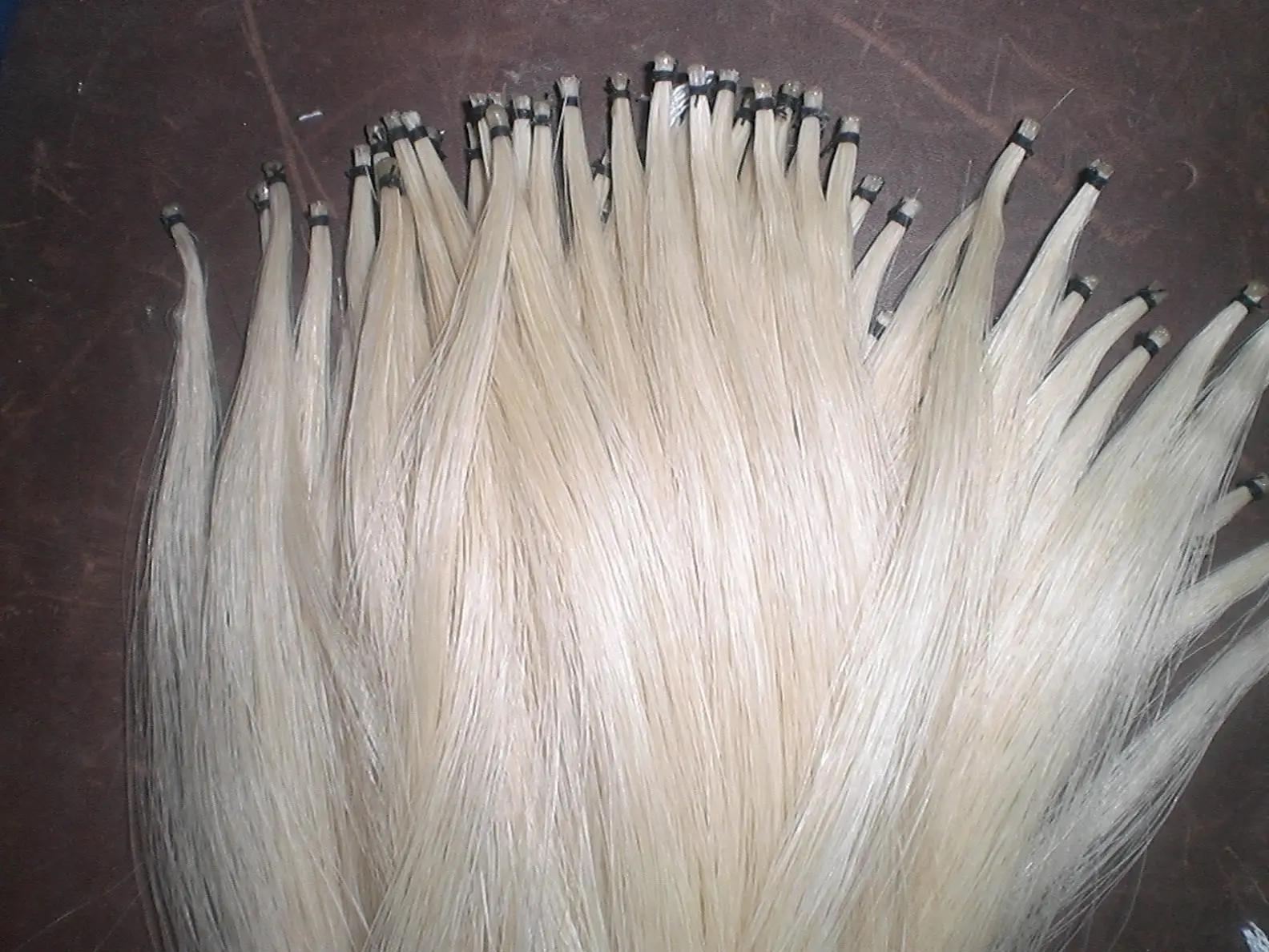 10 Hanks Quality Mongolia Stallion Bow hair 6gram/hank in 32 inches