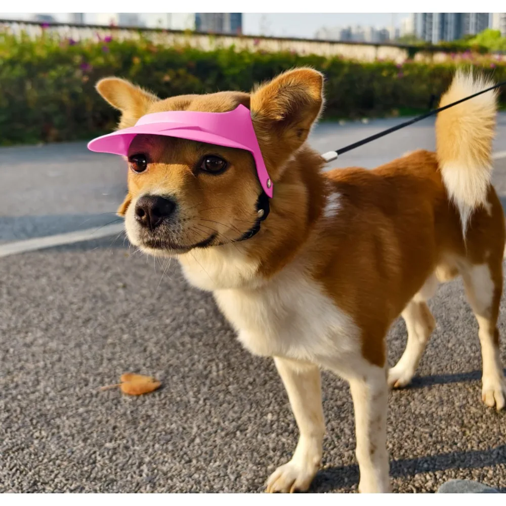 

Pet Supplies Sun Hats Small Dogs Dogs Open Ears Sun Hats Outdoor Sunscreen Pet Accessories Headwear