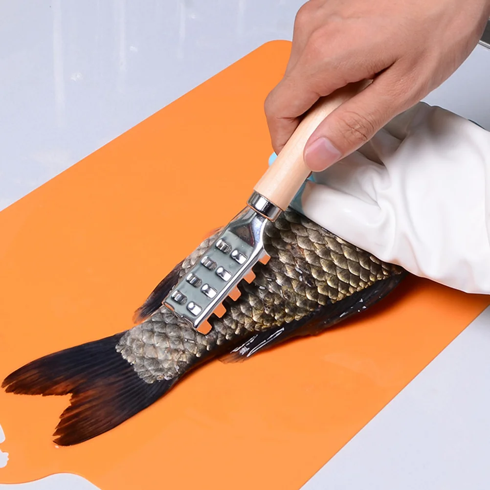 

Stainless Steel Fish Skin Cleaner Effortless Grip No Sliding Prevents Cuts Simple Design Home Kitchen Fish Scraper