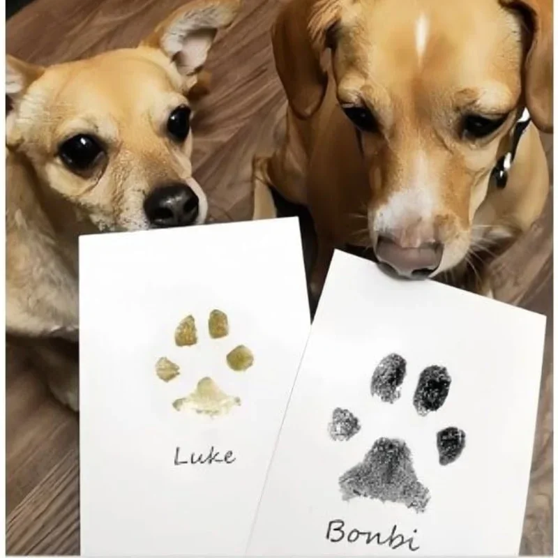 الوليد الطفل DIY اليد وبصمة عدة منصات الحبر إطار الصورة بصمة الحيوانات الأليفة تذكارية التنظيف الآمن القط والكلب بصمة الوسادة