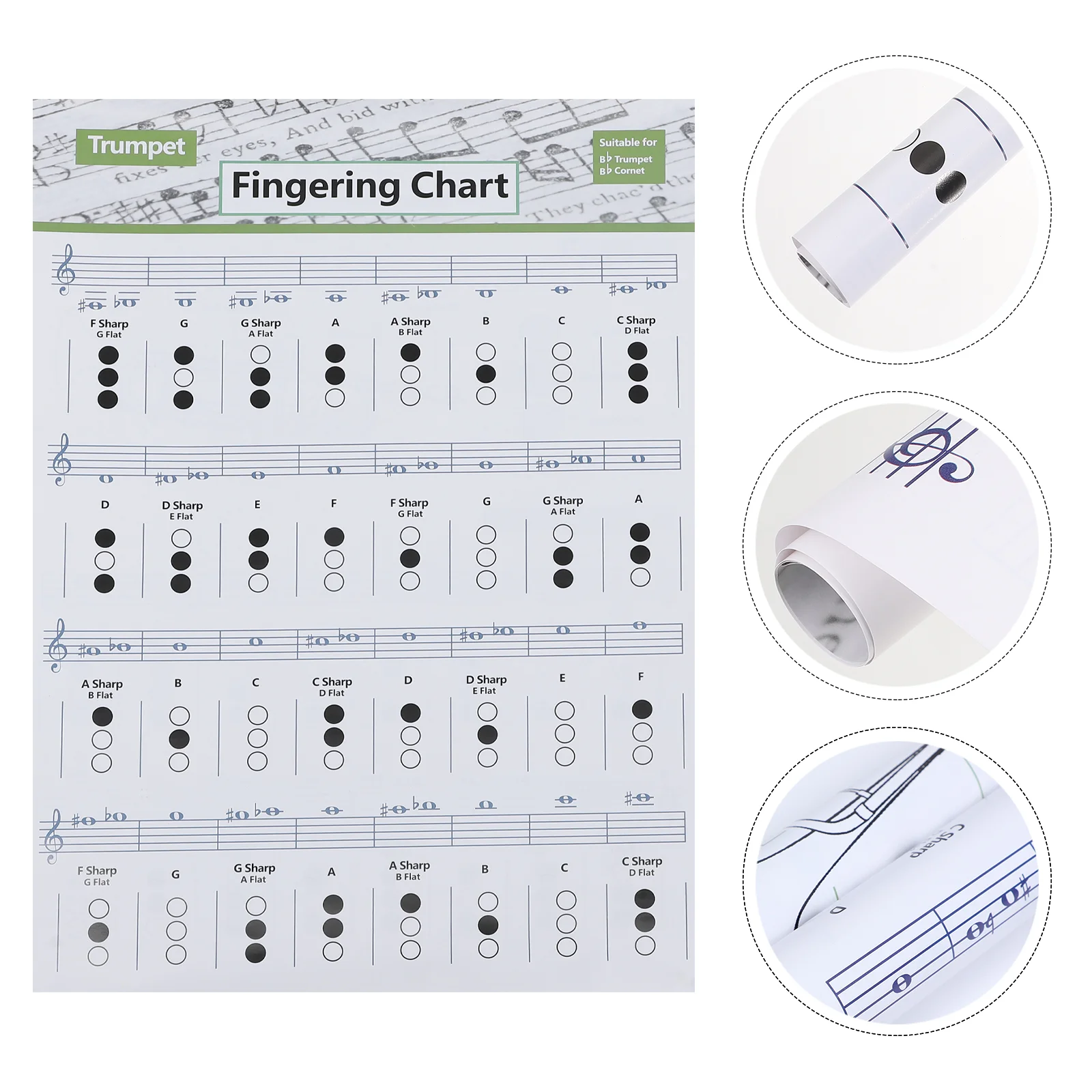 

Chord Chart Trumpet Training Guide Practice Charts Wall Poster Major Beginner Coated Paper Student