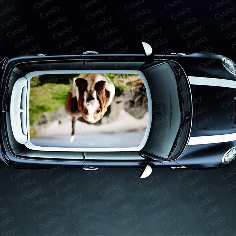 Basset Hound Car Roof Sticker Racing SUV Accessories Packaging Painting PVC Custom Car Graphic Decal