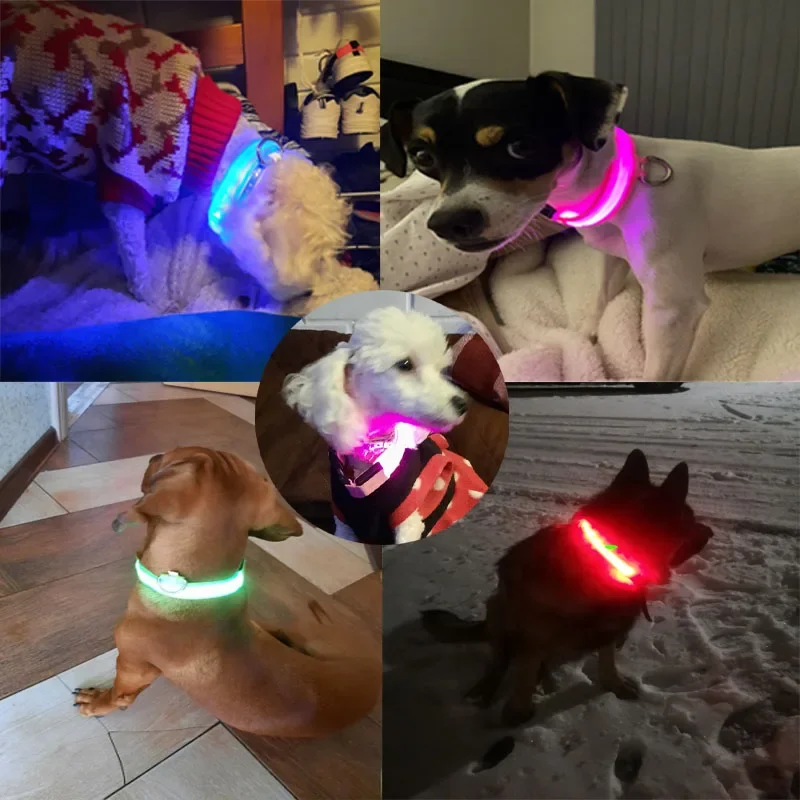 USB Rechargeable Pet Dog LED Glowing Collar  Luminous Flashing Necklace Outdoor Walking  Night Safety Supplies Dog Harness