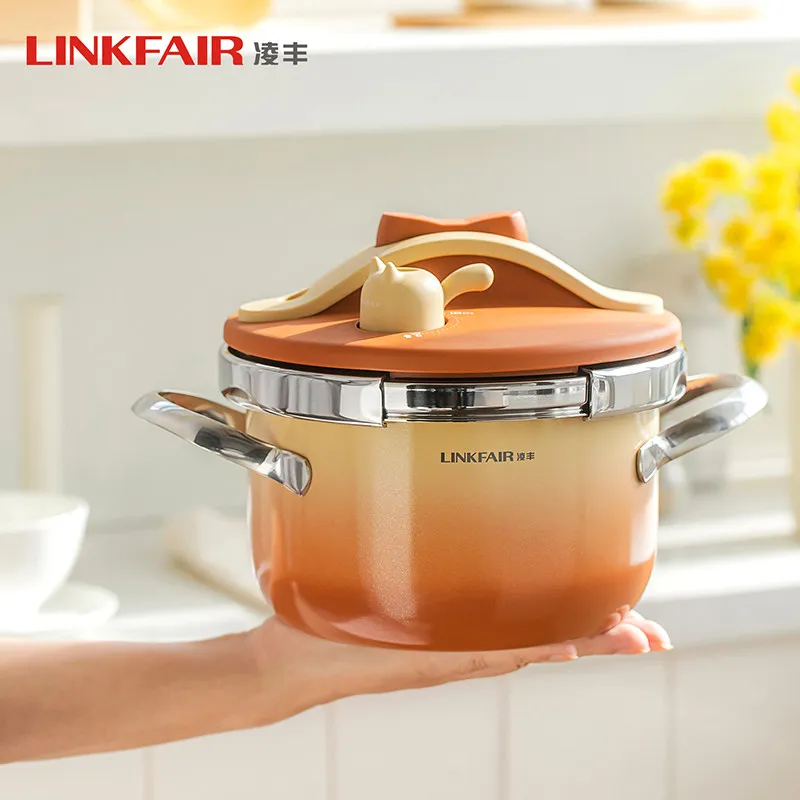 2.6L Pressure Cooker 120kPa Multifunctional Pressure-Limited Explosion-proof 304 Stainless Steel Pressure Pot