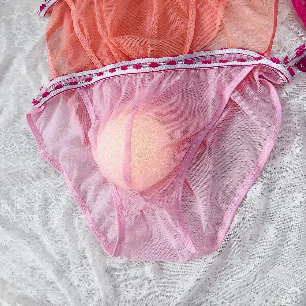 Transparent Mesh Underwear Sissy See Through Panties Man Sexy Briefs Sissy Ball Pouch Knickers Random Color Underpants