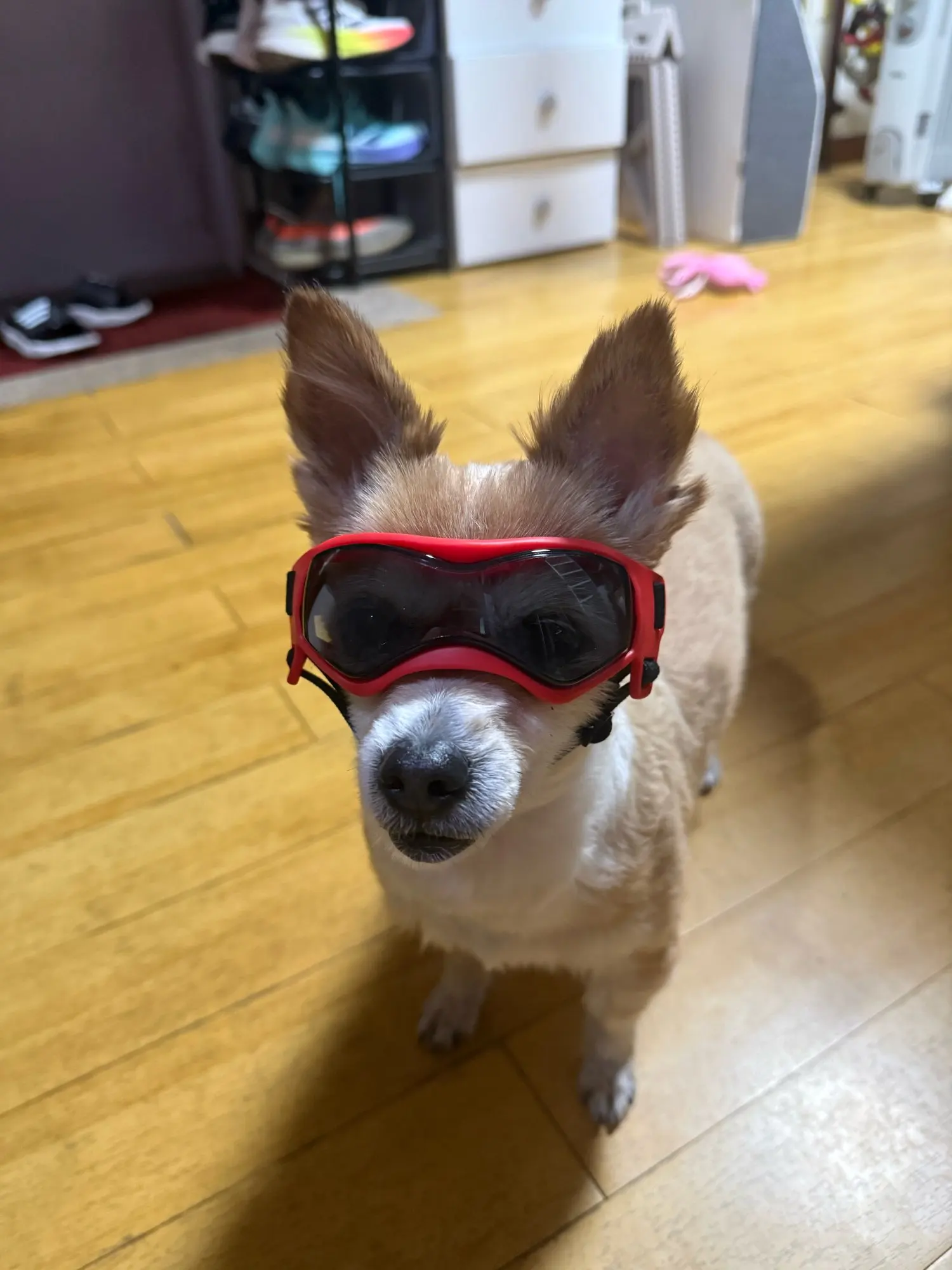 구매후기