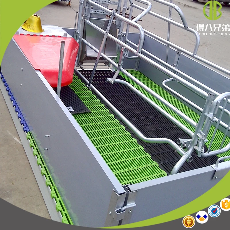 Caisse de lancer de cochon classique, offre spéciale