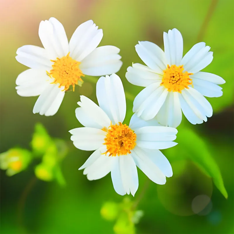 

Случайные частицы блоков, модель Moc, строительные кирпичи, технология произвольной формы, модульные блоки, подарки, рождественские игрушки, наборы «сделай сам», сборка