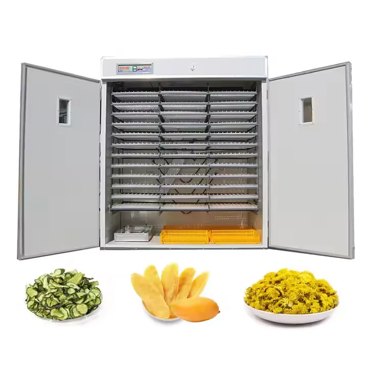 Drying Bread Bakery Machine Dry Water Fruit Stick Noodle Squid Mash Shrimp Dehydrator Sausage Salt Fish Machine