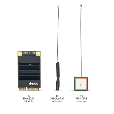 Gateway RAKwireless-IoT com a mais recente Semtech SX1302 RAK2287, Concentrador WisLink LPWAN