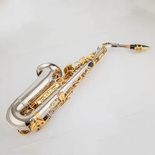 Imagen 2 del producto Recién llegado, saxofón Alto Eb Tune, instrumento Musical de latón, saxofón lacado dorado con estuche, boquilla