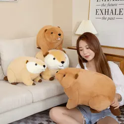 Hot 1pc 45cm/60cm Cute Nutria Peluche Toy Simulation Animal Dolls Kawaii Beaver Plush Pillow Stuffed Soft Birthday Decor Gift