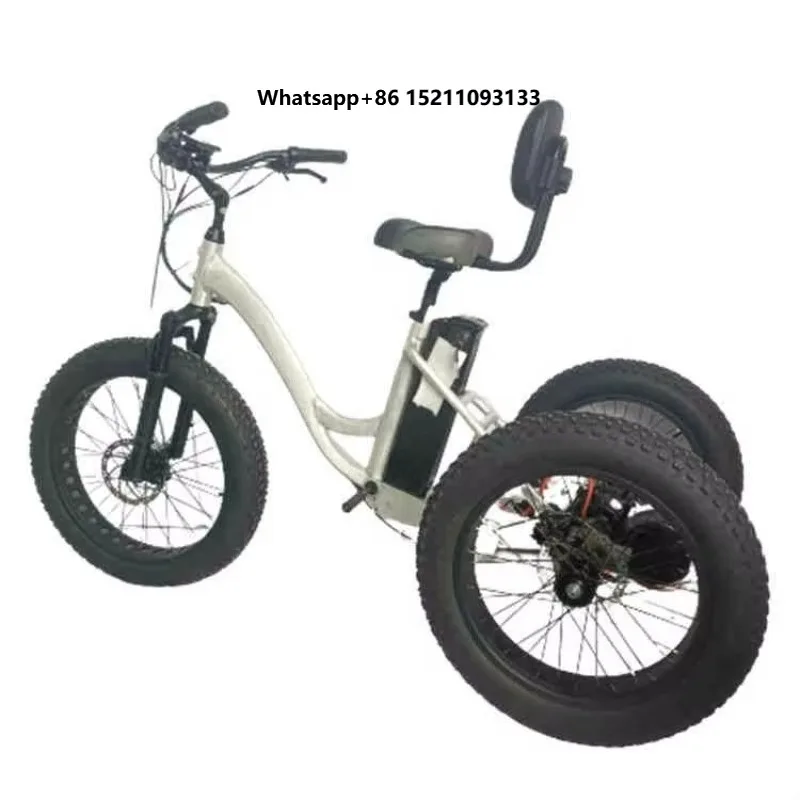 2023 48V 1000W Motor Tricycle Bike Tricycle Three Wheels Electric Bike for Adult Electric Tricycles 3 Wheel Electric Cargo Bike