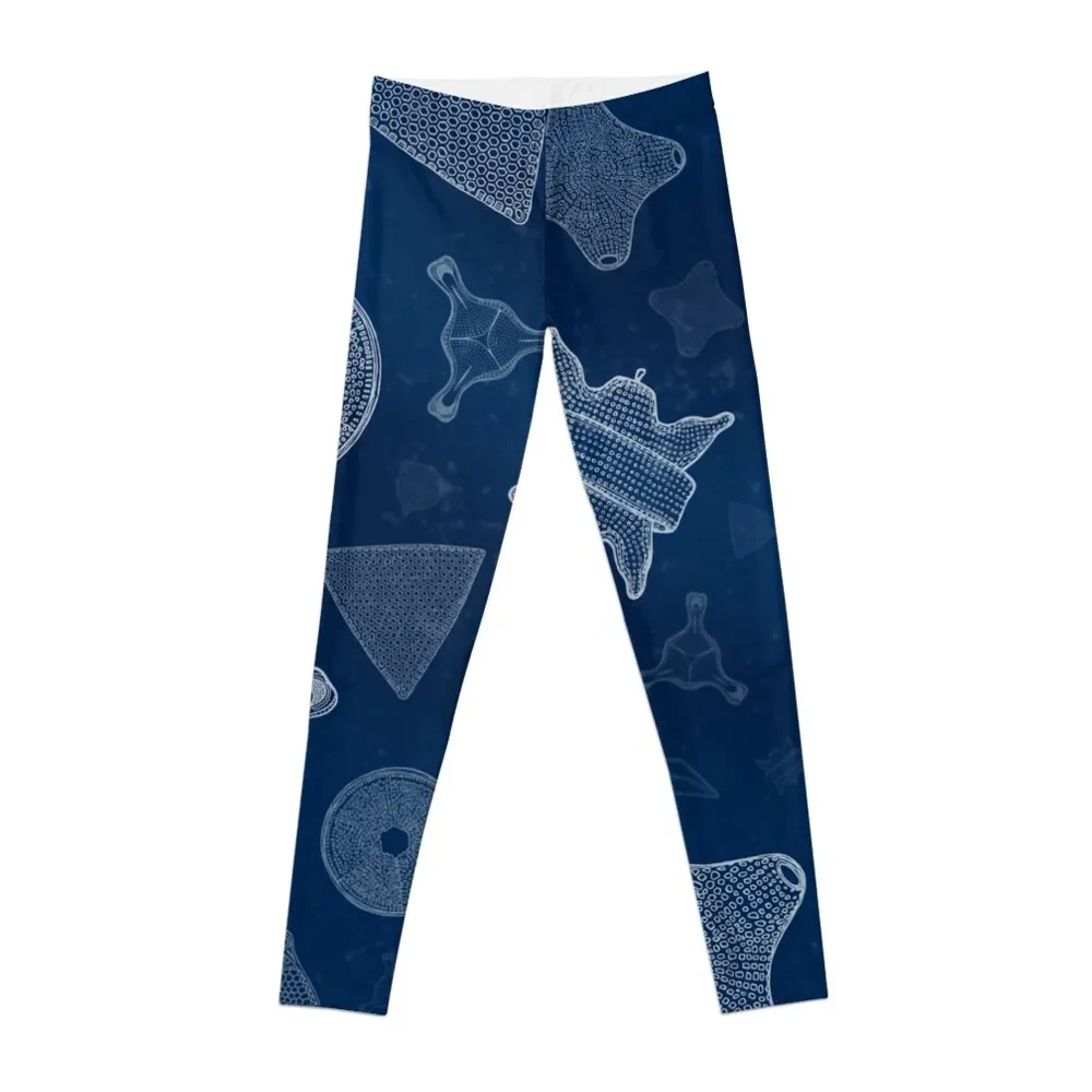 

Diatoms - microscopic sea life Leggings Legging sport workout shorts Womens Leggings