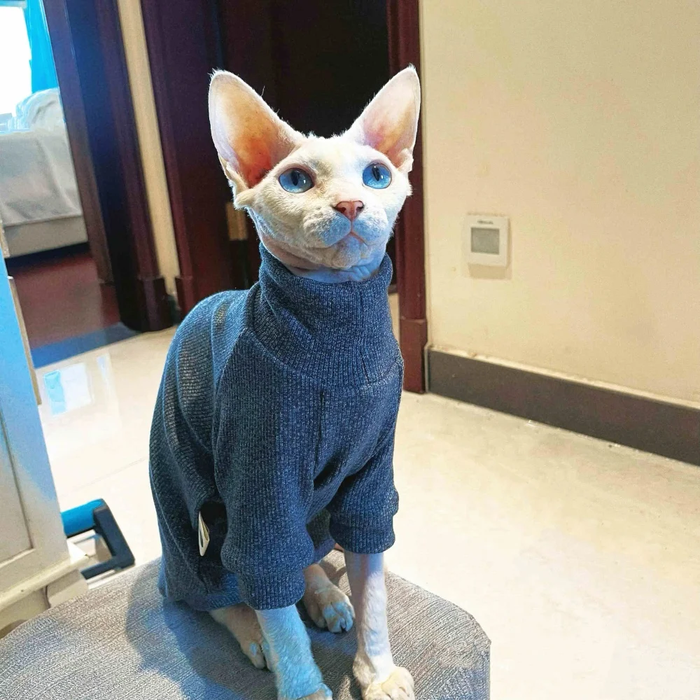 Stretch-knit High-neck Insulated Sweater For Sphynx Cat in Winter Soft Warm Dark Grey Coat for Hairless Cat Devon Rex in Autumn