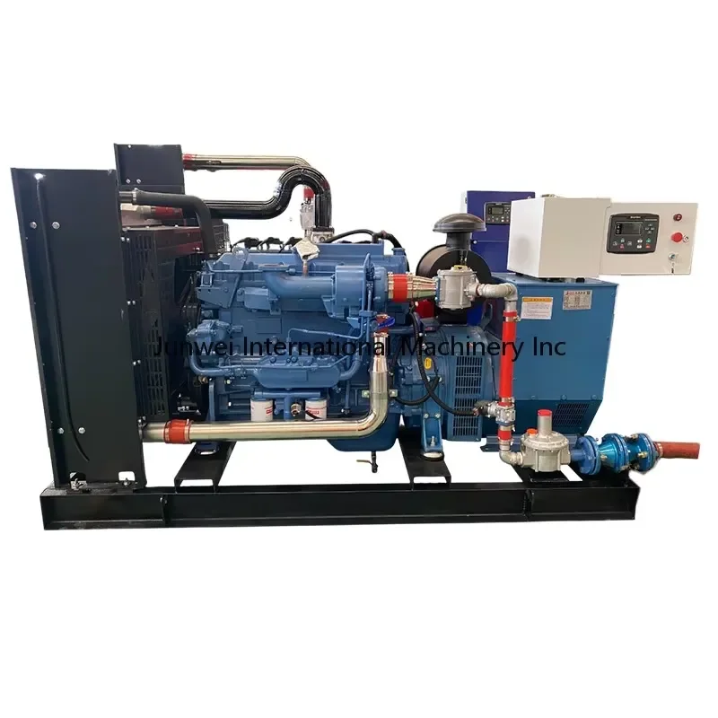 AP01 40kw Natural Generator Set for Use Biogas and Liquefied Petroleum Compatible Portable Powered