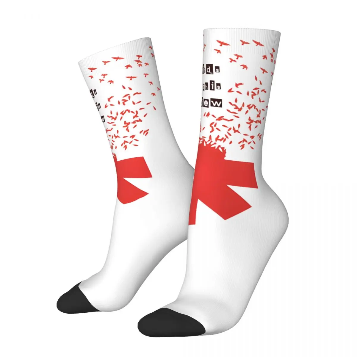 

Retro With The Birds Men's compression Socks Unisex RHCP Harajuku Pattern Printed Novelty Crew Sock