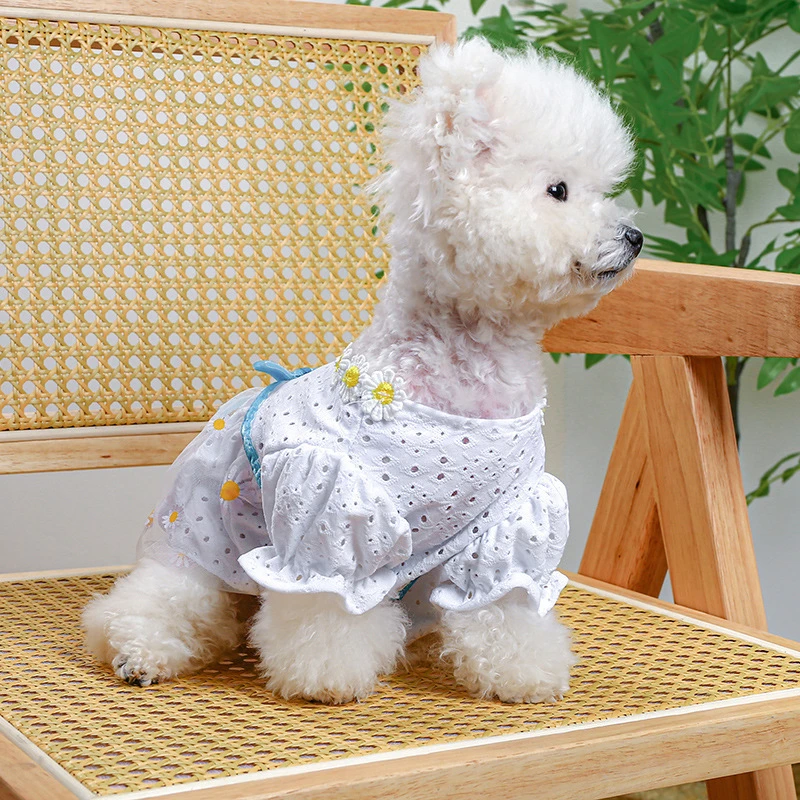 Daisy Embroidery Fancy Dresses for Small Dogs Hollow Veil Princess Party Cat Clothing York Dog New Designer Spring Puppy Clothes