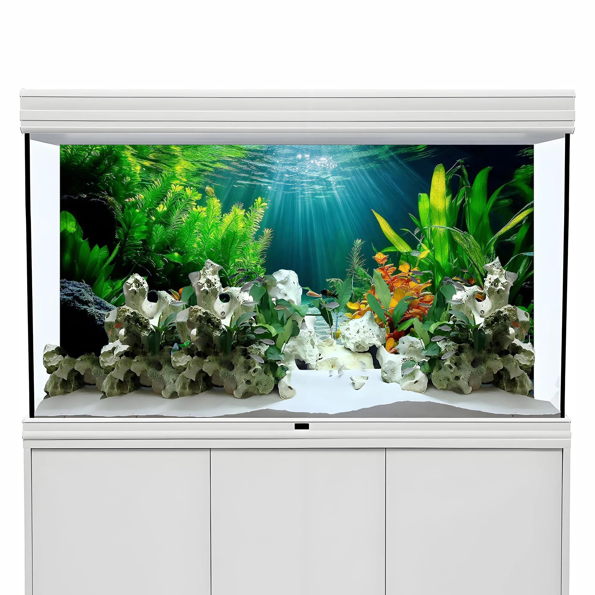 Kleurrijk aquatisch plantenpar - Aquarium Fish Paradise recensie en prijs