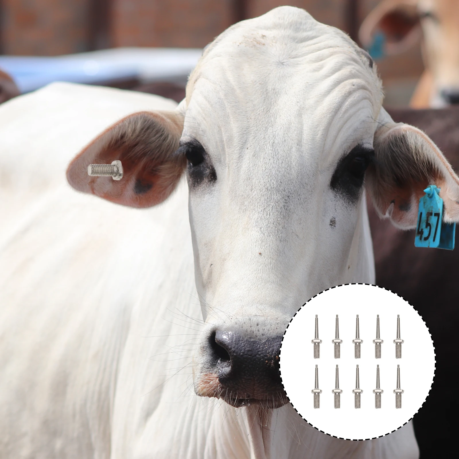 

10pcs Needle Stainless Steel Durable Livestock Ear Cattle Pig Sheep Farm Accessories Ear Tag Pliers Needles