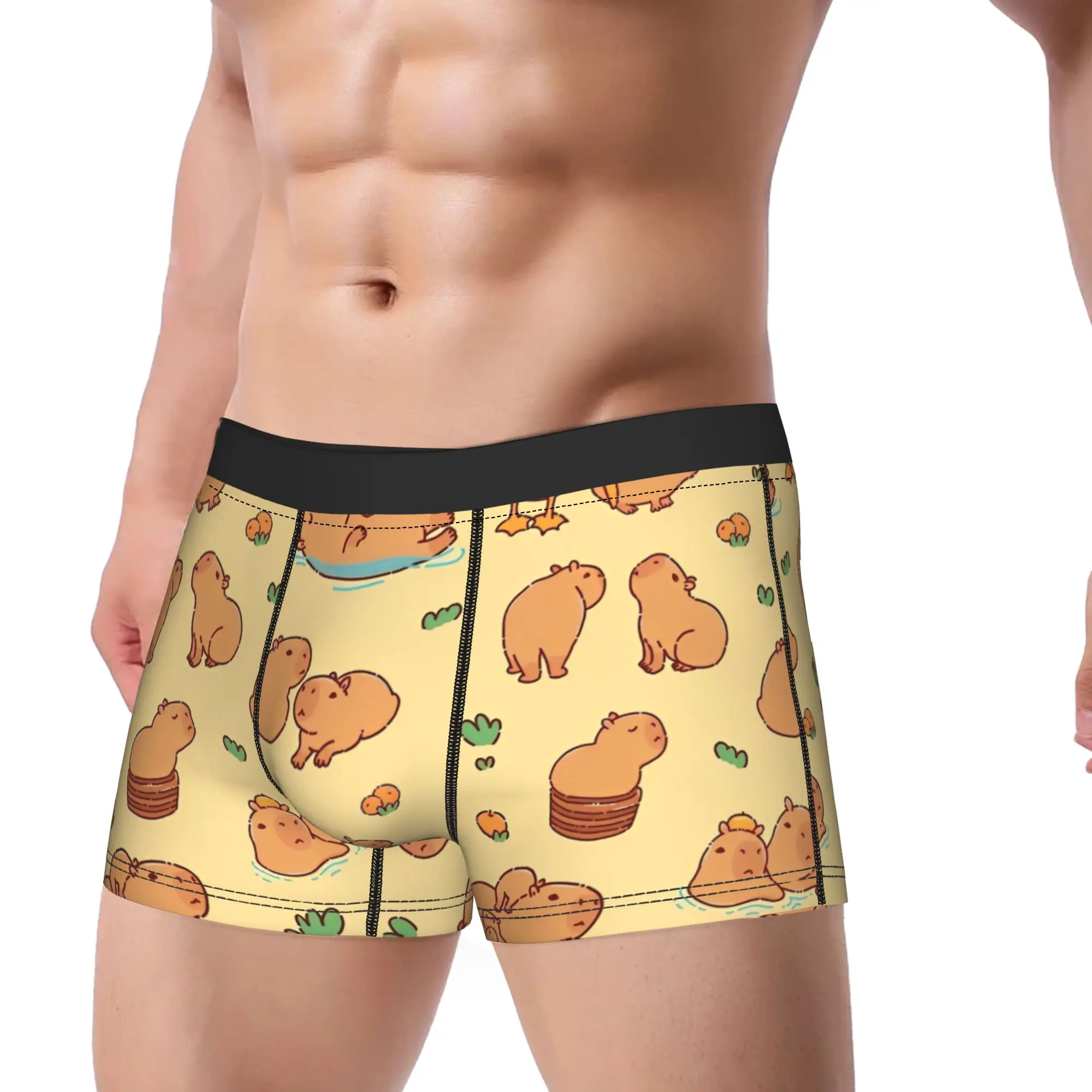 Men's Cute Cartoon Capybara Long Underwear  Novelty Boxer Briefs Shorts Panties Male Mid Waist Underpants M-XXL