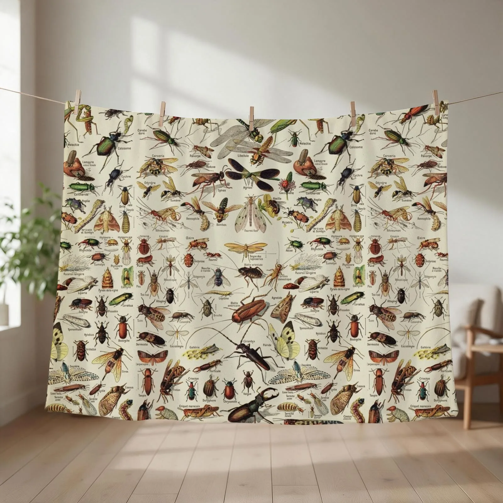 Insects Chart. Scientific Illustration, text in french Throw Blanket Kid'S Soft Beds Cute Plaid Decorative Sofas Blankets