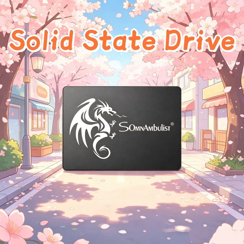 

Selective SomnAmbulist 2.5 Inch SATA3 SSD 120GB 240GB 480GB 960GB 128GB 256GB 512GB 1TB Volant Internal Solid State Drive