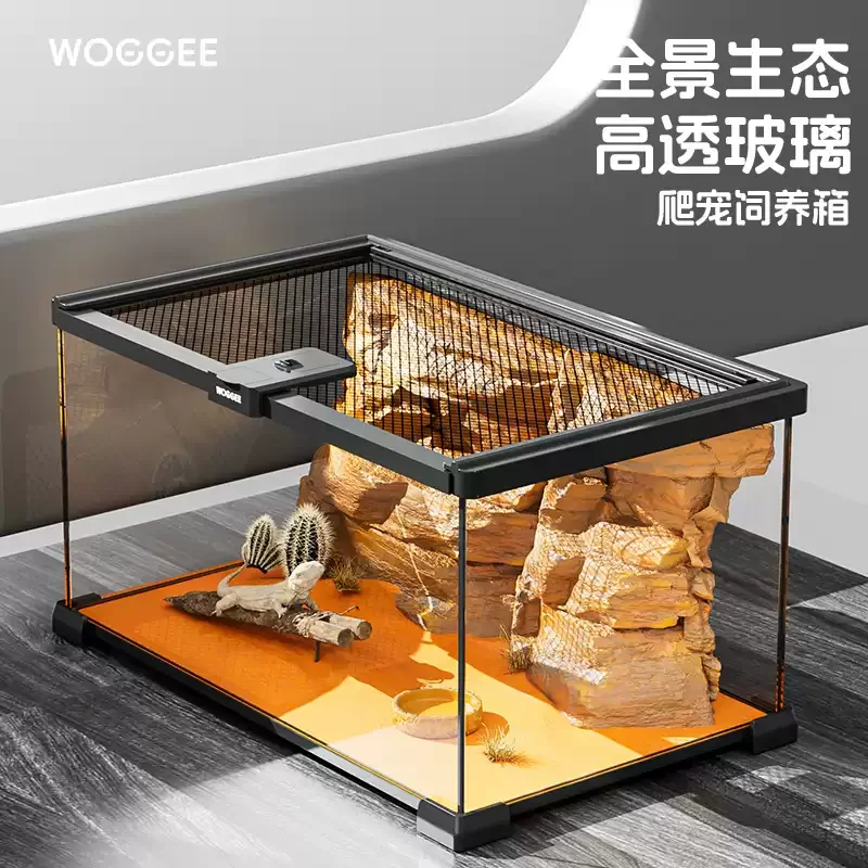 Looook Store Full View Glass Reptile Tank Rainforest Ecological Breeding Box for Gecko Lizard Frog Hermit Crab Snake Pet Habitat