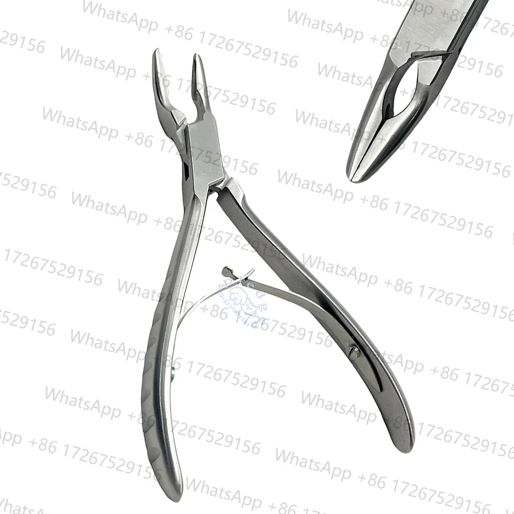 Rongeur à os à articulation unique pour animaux de compagnie - Lame courbée de 3 mm, instrument chirurgical en acier inoxydable pour l'orthopédie vétérinaire