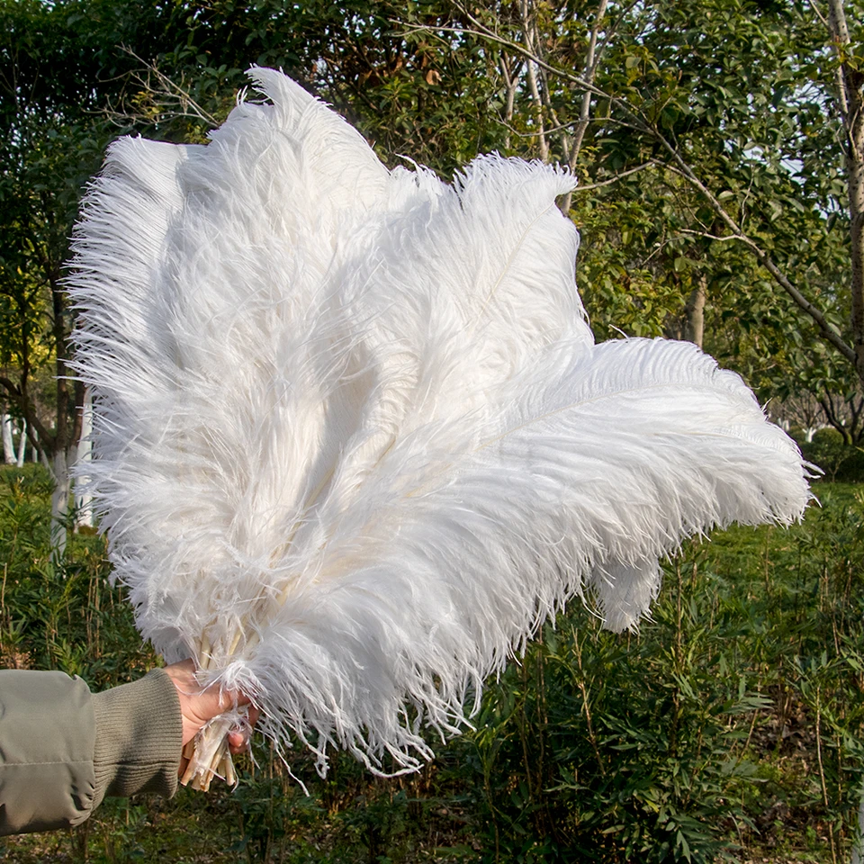 10Pcs White Ostrich Feathers 35-60 Cm/14-24